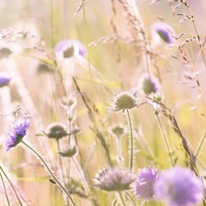 Meet your Posher, Summer